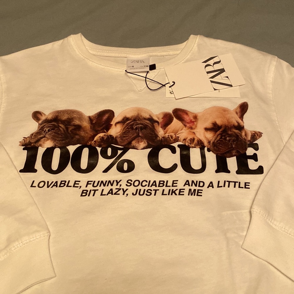 ZARA Girls 6 Graphic Long Sleeve Tee ‘100% Cute’ Puppy